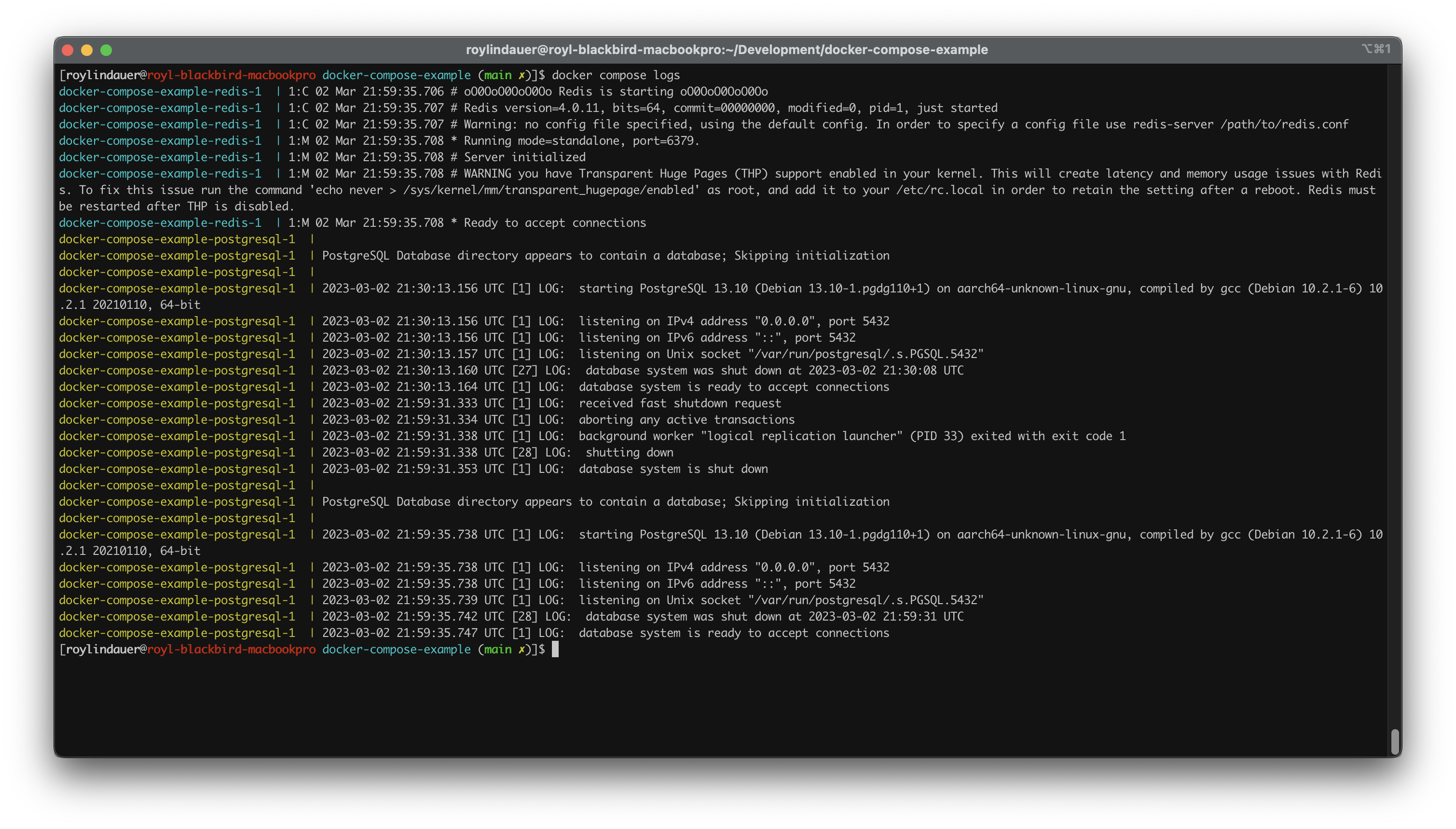 docker compose logs