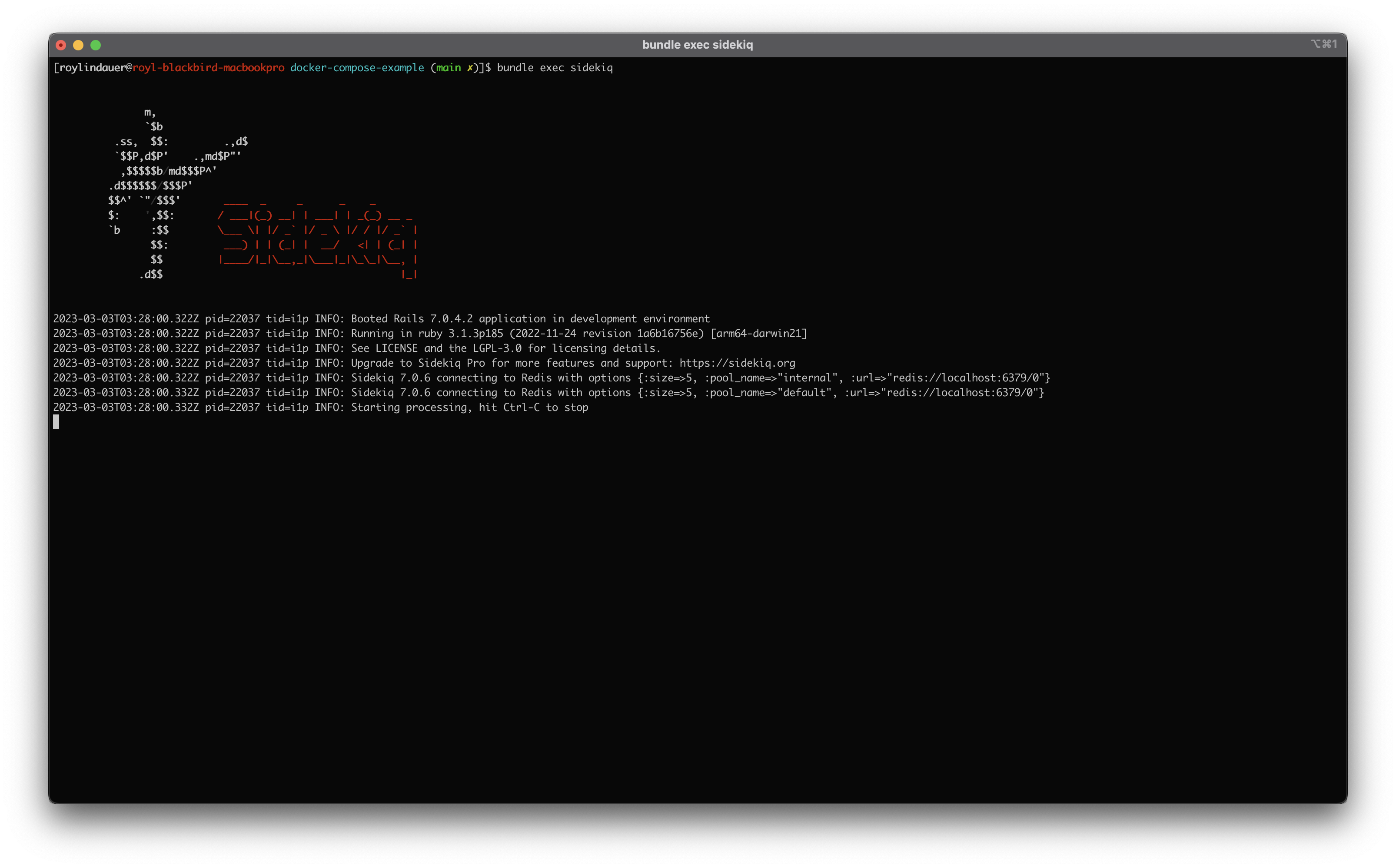 Sidekiq running